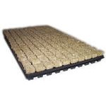 BOUCHON LAINE DE ROCHE GRODAN Plateau 150 U - SBS 25/150