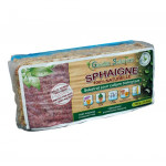 SPHAIGNE DU CHILI - Sachet 1 Kg