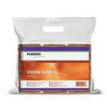 PLAGRON COCO BRIX - Boite de 6