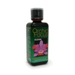 ORCHID FOCUS BLOOM 300 ML