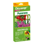 COCCINELLES ADALIA BIPUNCTATA CONTRE LES PUCERONS - ARBRES ET ARBUSTE