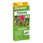 CHRYSOPES CONTRE LES PUCERONS THRIPS - 50m2 - 250 Larves ou 500 Oeufs