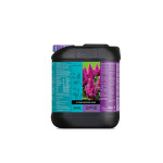 ATAMI BLOSSOM BUILDER LIQUID 5L