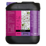 ATAMI - B'CUZZ BLOOM - 5L