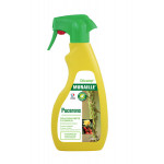 MURAILLE PUCERONS spray 500ml - DECAMP