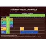 SCHEMA CULTURE AUTOMATIQUE GUANO DIFFUSION