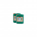 CANNA COGR FLORES A+B - 2x5L