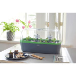 BOQUBE L PLUS - serre & jardinière - anthracite-vert - 41x17x23cm