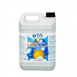 T.A. CALCIUM MAGNESIUM - SUPPLEMENT - 5L