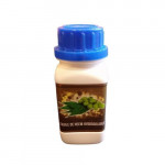 HUILE DE NEEM HYDROSOLUBLE - 100ML
