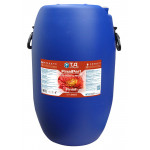 T.A. FINALPART 60L (RIPEN)