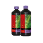 ATAMI COCO NUTRITION A+B 1L